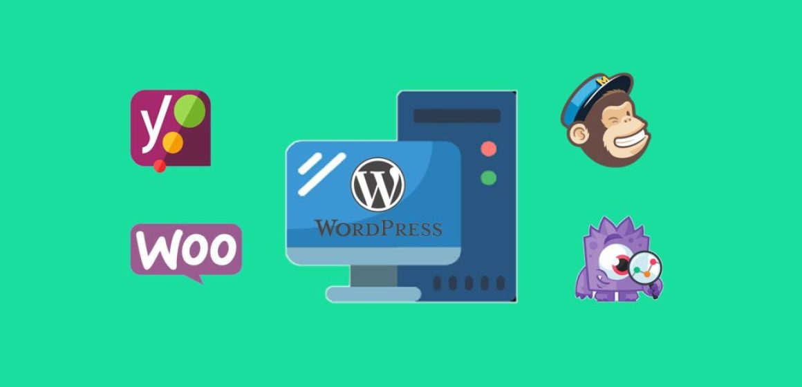 What is WordPress What is WordPress Theme and WordPress Plugin?