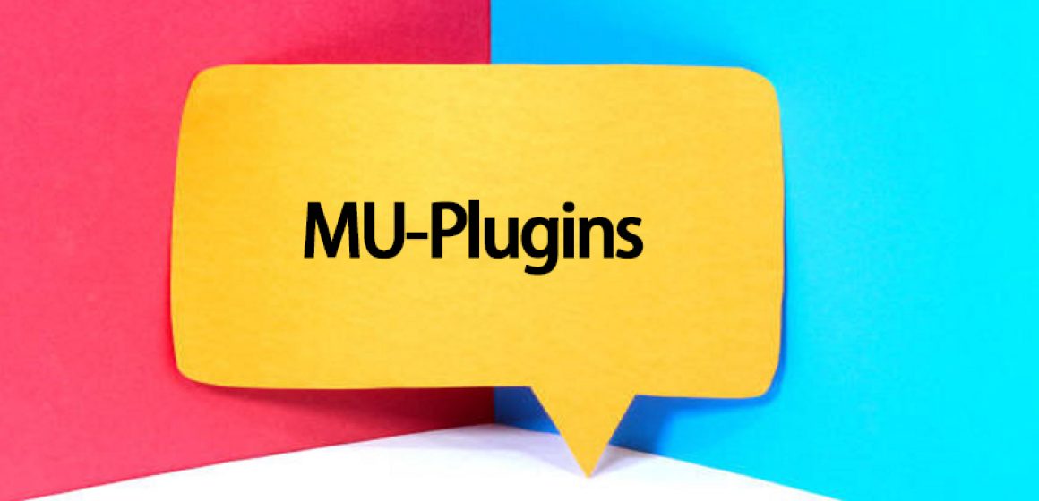 What Are MU-Plugins For WordPress Site