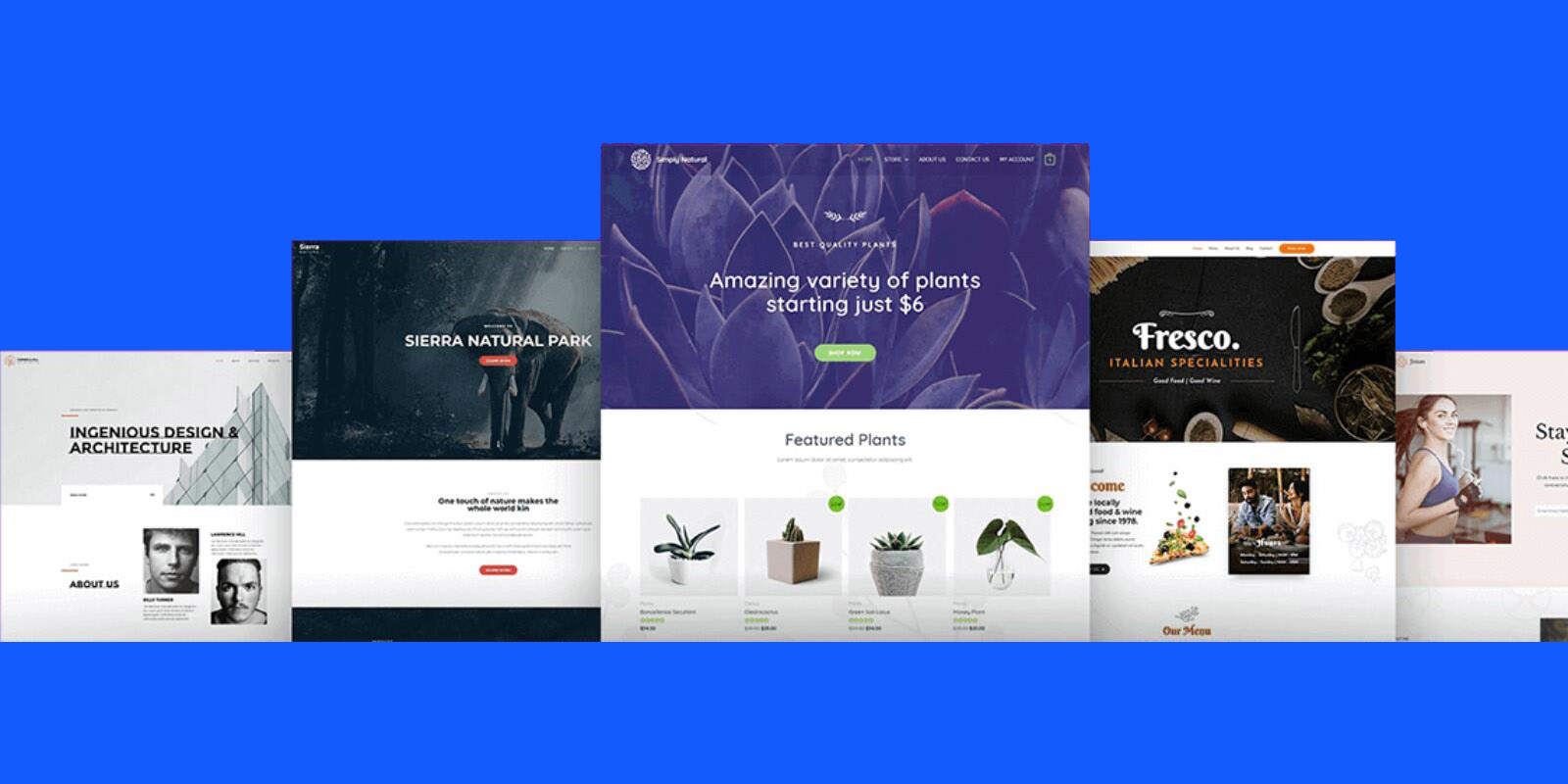 Discover the 7 best free themes for your WordPress Site in 2023